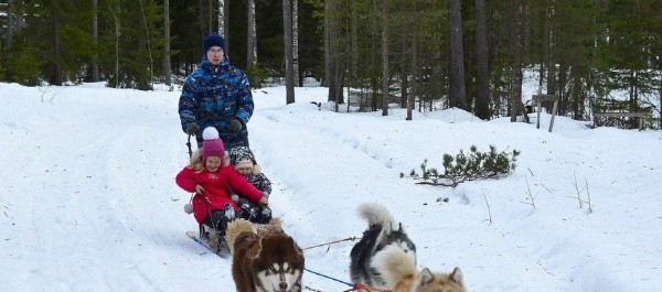 Катания на хаски, ватрушки и лес в снегу: зимний отдых на базе &laquo;Шишки на Лампушке&raquo;