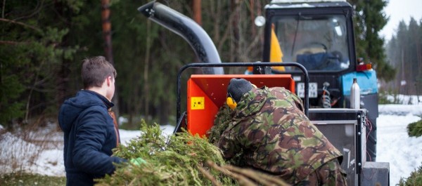Куда сдать ёлку на переработку: интерактивная карта с адресами по районам Петербурга и Ленобласти