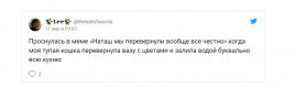 Вставай, мы всё уронили: топ мемов про Наташу и котов