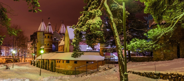 Зимние путешествия на &laquo;Ласточках&raquo;: куда поехать из Петербурга и что посмотреть