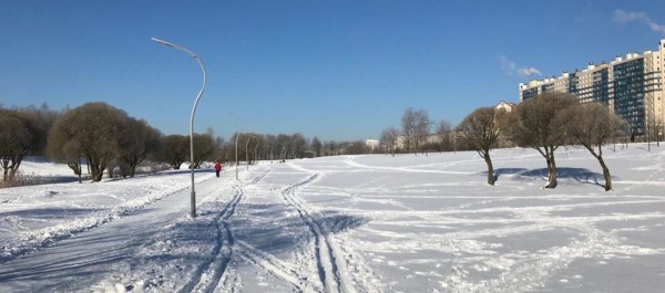 Вдоль залива и по ратраченной трассе: где покататься на лыжах в Петербурге