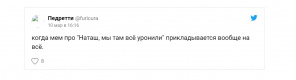 Вставай, мы всё уронили: топ мемов про Наташу и котов