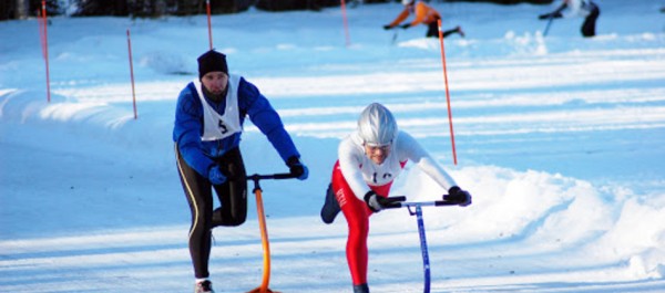 Скандинавская забава для всей семьи: где покататься на финских санях в Петербурге