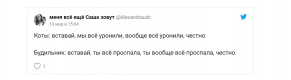 Вставай, мы всё уронили: топ мемов про Наташу и котов