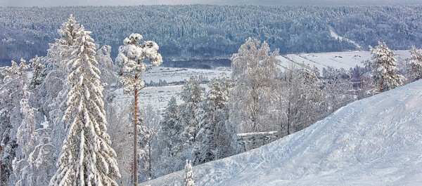 Кабы не было зимы: где искать снег в Петербурге и Ленобласти