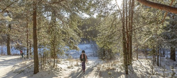 Поезд в никуда, съемная квартира и шоппинг без обеда: как пройдет &laquo;ковидный&raquo; Новый год в Петербурге