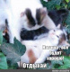 Вставай, мы всё уронили: топ мемов про Наташу и котов
