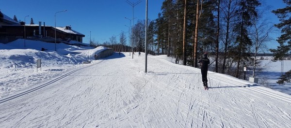 Вдоль залива и по ратраченной трассе: где покататься на лыжах в Петербурге