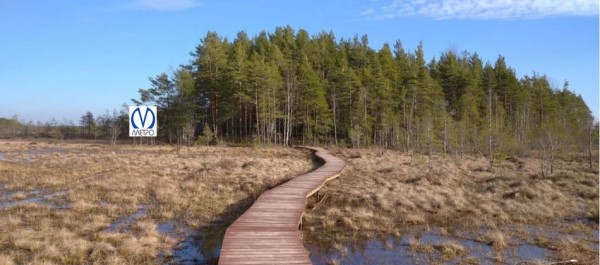 Метро будущего: самые невероятные идеи, где могли бы открыться станции подземки Петербурга