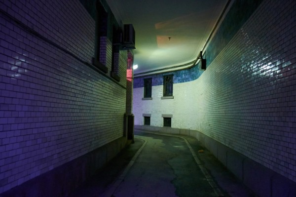 Пеньки и особняки: прогулка по Владимирскому округу