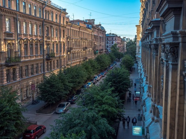 Пеньки и особняки: прогулка по Владимирскому округу