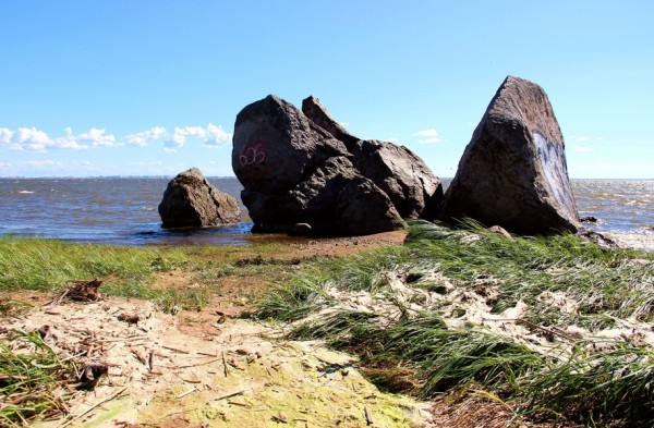 Камень, замок, храм: что смотреть в Лахте, кроме небоскрёба?