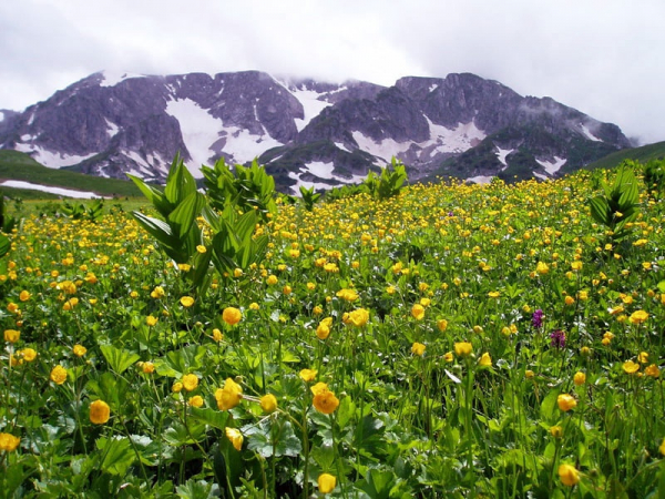 Отдыхай в правильном направлении