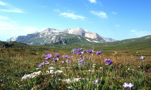 Отдыхай в правильном направлении
