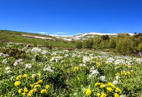 Отдыхай в правильном направлении