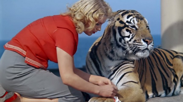 Четвероногие знаменитости: чем прославились животные Ленинградского зоопарка