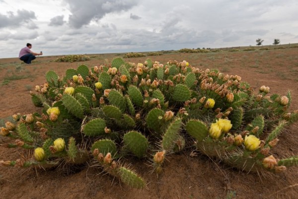  Найдены маршруты для любителей необычных впечатлений  