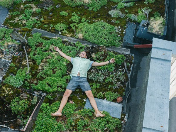 Петербуржец разбил сад на крыше многоэтажки