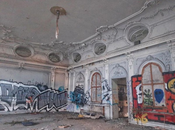 Зелено и богато: прогулка по Аптекарскому острову