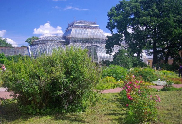 Зелено и богато: прогулка по Аптекарскому острову