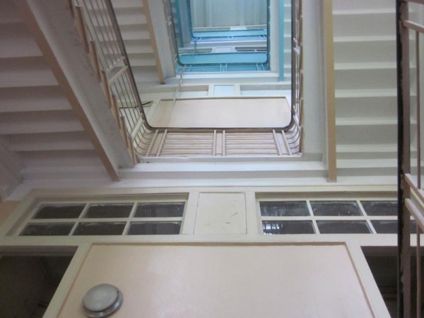 Зелено и богато: прогулка по Аптекарскому острову