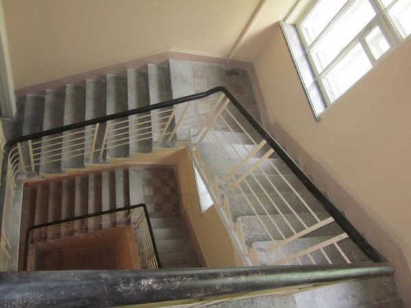 Зелено и богато: прогулка по Аптекарскому острову