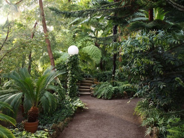 Зелено и богато: прогулка по Аптекарскому острову