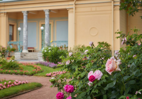 Царицын и Ольгин павильоны &laquo;Петергофа&raquo; открылись для посетителей