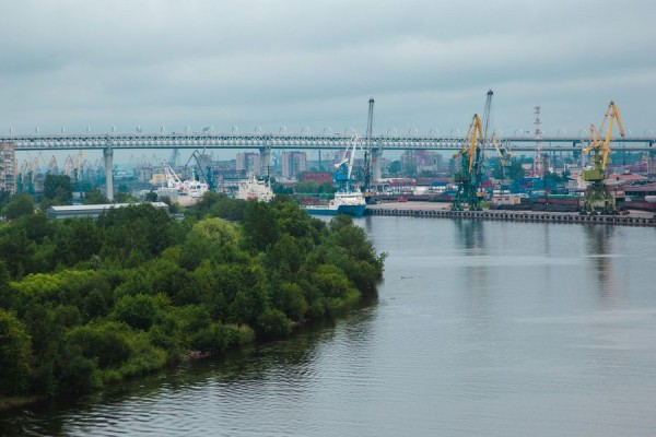 Островная жизнь: прогулка по Канонерскому острову