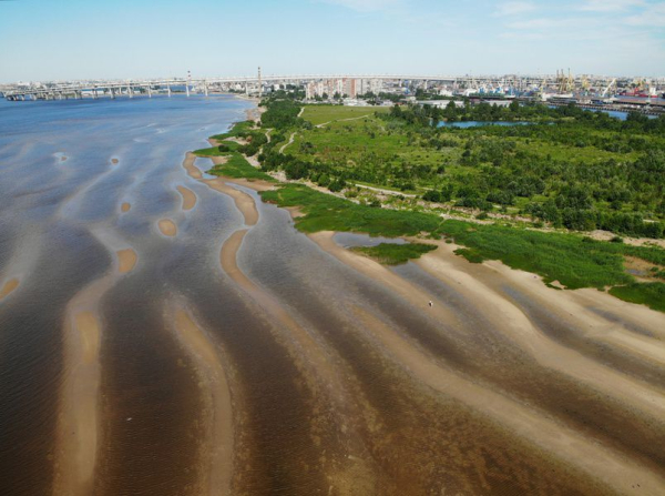 Островная жизнь: прогулка по Канонерскому острову