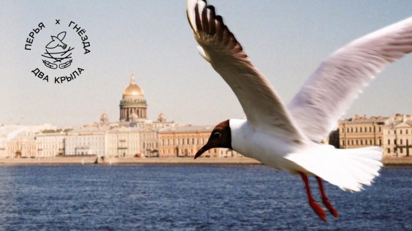 Петербург глазами научного волонтёра