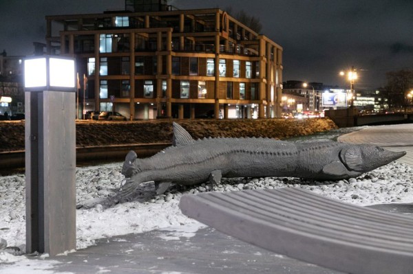 На набережной Карповки появились гамаки, лежаки и осетра