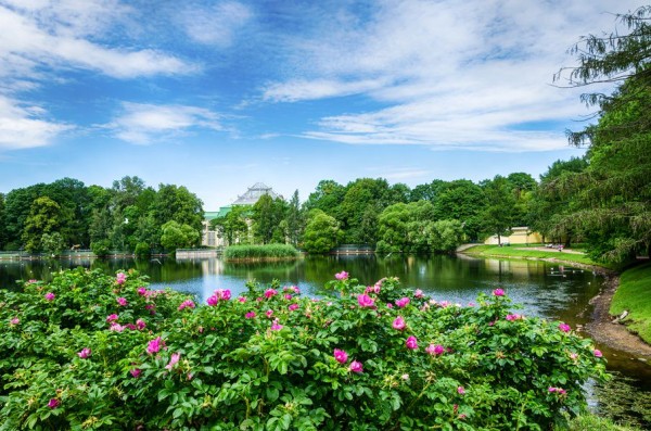 Город глазами творческих людей: самые забавные названия и живописные локации Санкт-Петербурга Город глазами творческих людей: самые забавные названия и живописные локации Санкт-Петербурга