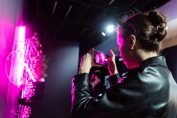 Арт-этикет: как вести себя и что делать на ярмарках современного искусства?